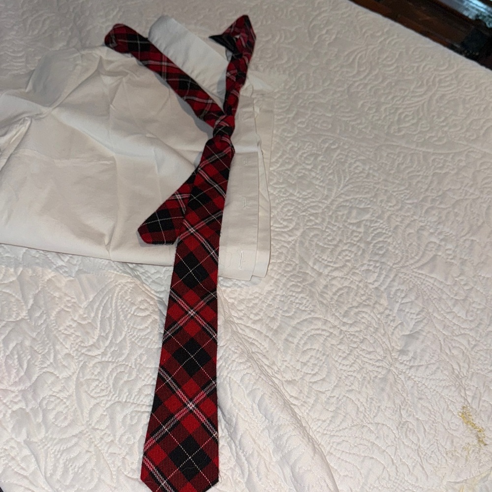 Red Plaid Necktie (Shirt not included) goes with anything red, black, or white ,